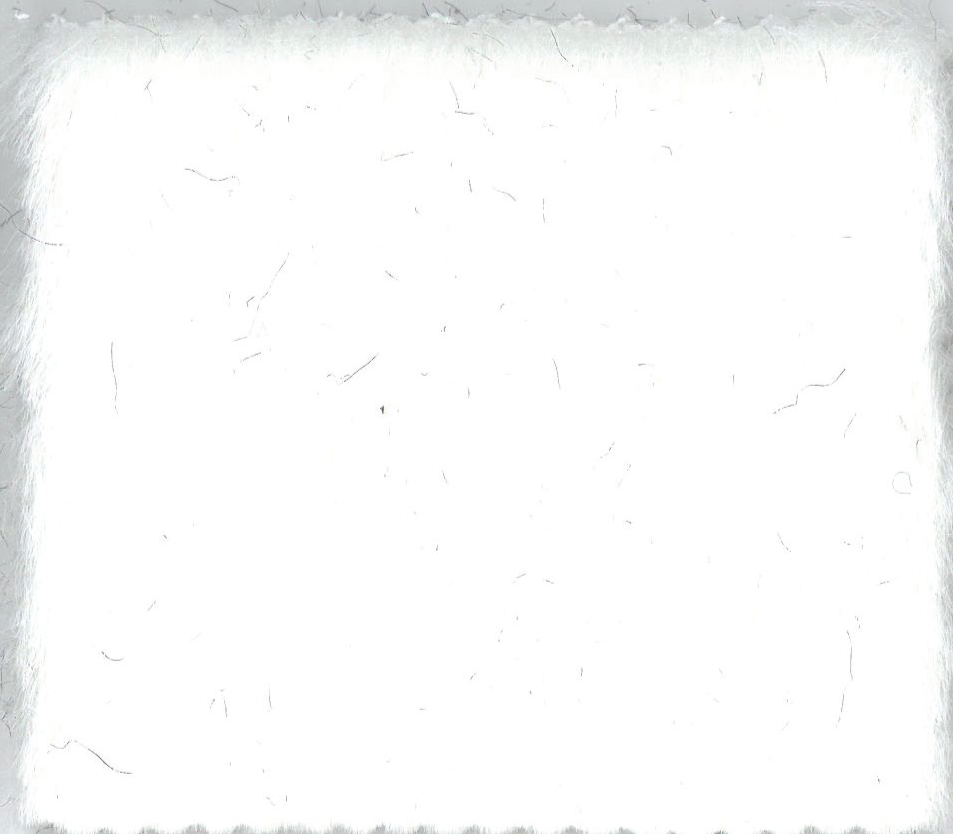 Fur - col.2 imitatie blanita culoare alba